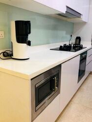 Eight Riversuites (D12), Condominium #612619091